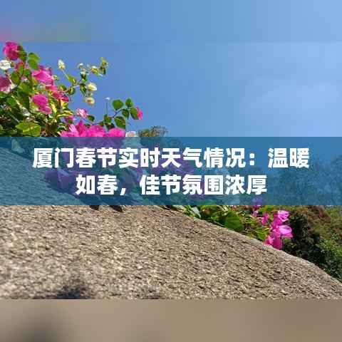 厦门春节实时天气情况：温暖如春，佳节氛围浓厚