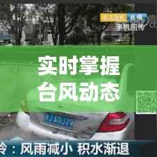 实时掌握台风动态——揭秘台风位置查询平台