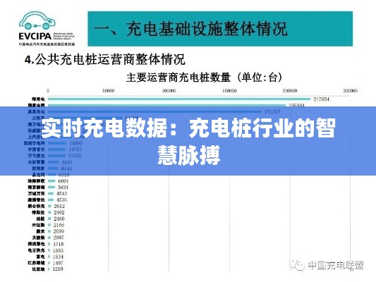 实时充电数据：充电桩行业的智慧脉搏