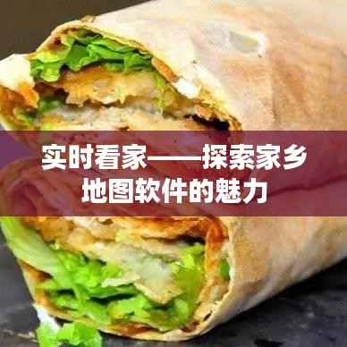 实时看家——探索家乡地图软件的魅力
