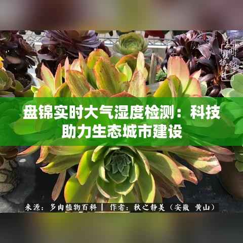 盘锦实时大气湿度检测：科技助力生态城市建设