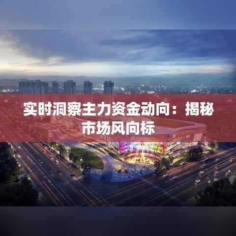 实时洞察主力资金动向：揭秘市场风向标