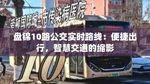 盘锦10路公交实时路线：便捷出行，智慧交通的缩影