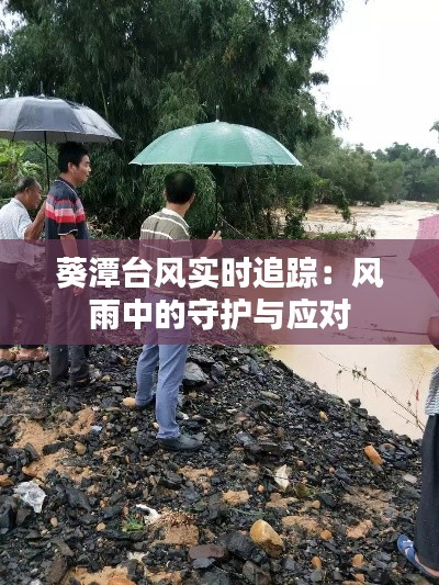 葵潭台风实时追踪：风雨中的守护与应对