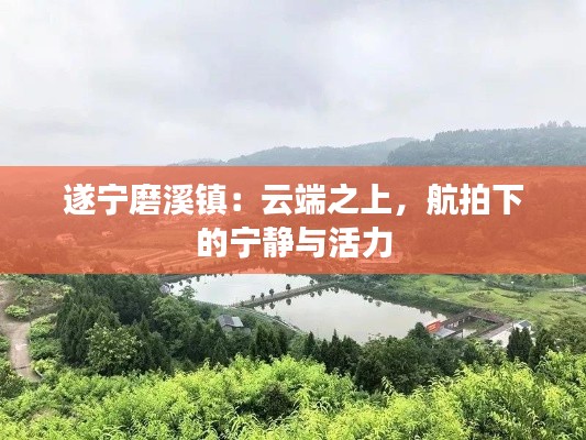 百不得一 第6页