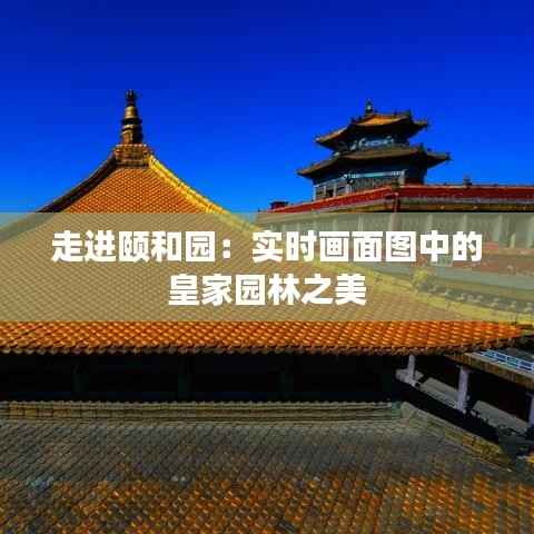走进颐和园：实时画面图中的皇家园林之美