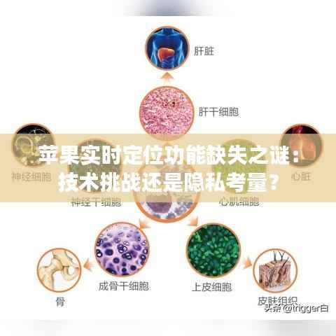 苹果实时定位功能缺失之谜：技术挑战还是隐私考量？