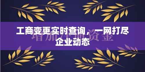 工商变更实时查询，一网打尽企业动态