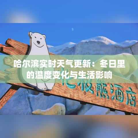 哈尔滨实时天气更新：冬日里的温度变化与生活影响