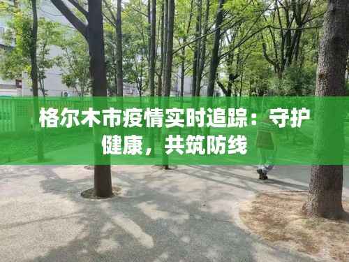 格尔木市疫情实时追踪：守护健康，共筑防线