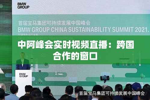 中阿峰会实时视频直播：跨国合作的窗口