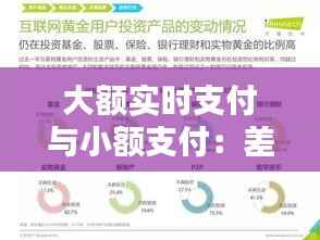 大额实时支付与小额支付：差异、挑战与未来趋势