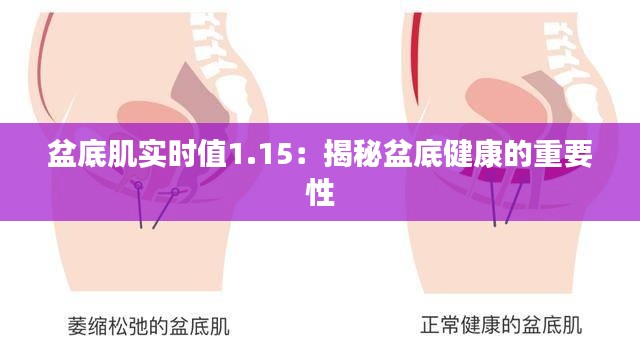 盆底肌实时值1.15：揭秘盆底健康的重要性