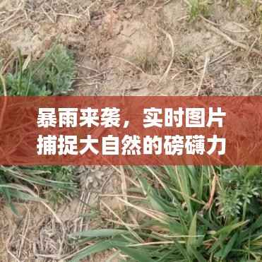 暴雨来袭，实时图片捕捉大自然的磅礴力量