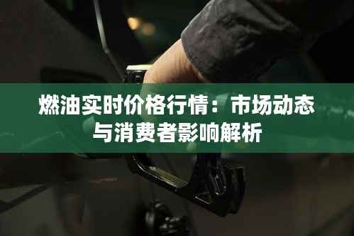燃油实时价格行情：市场动态与消费者影响解析