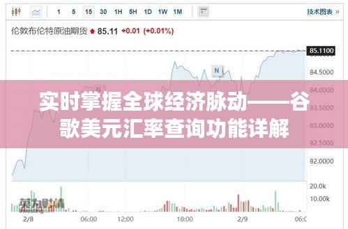 实时掌握全球经济脉动——谷歌美元汇率查询功能详解