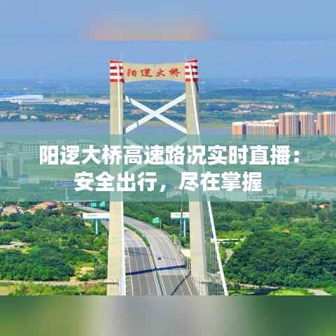 阳逻大桥高速路况实时直播：安全出行，尽在掌握