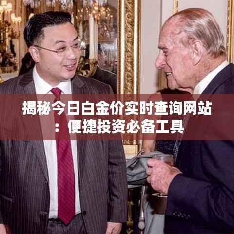 揭秘今日白金价实时查询网站：便捷投资必备工具