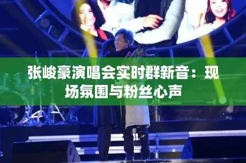 张峻豪演唱会实时群新音:现场氛围与粉丝心声
