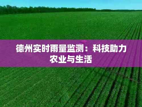 德州实时雨量监测：科技助力农业与生活