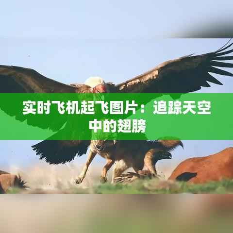 实时飞机起飞图片：追踪天空中的翅膀