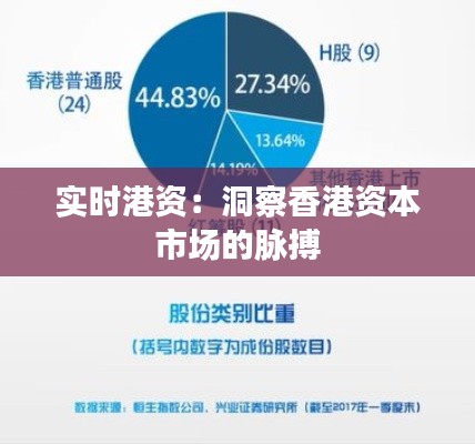 实时港资：洞察香港资本市场的脉搏