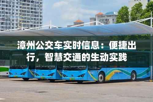 漳州公交车实时信息：便捷出行，智慧交通的生动实践