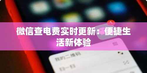 微信查电费实时更新：便捷生活新体验
