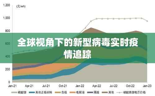 全球视角下的新型病毒实时疫情追踪
