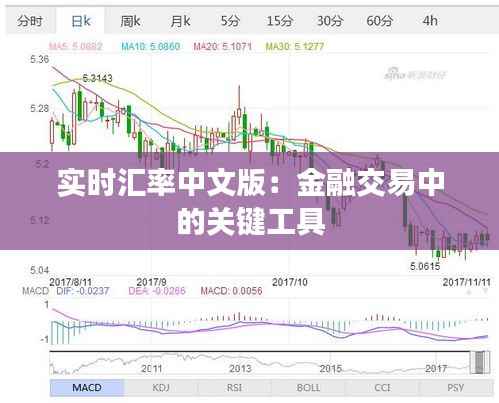 实时汇率中文版：金融交易中的关键工具