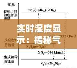 秀外慧中 第4页