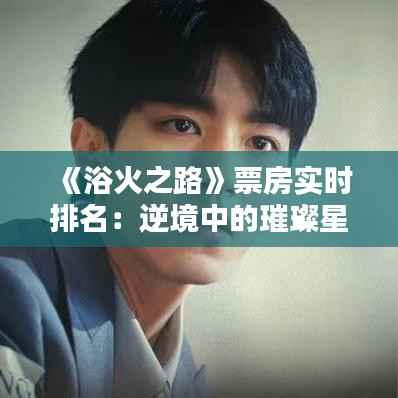 《浴火之路》票房实时排名：逆境中的璀璨星光