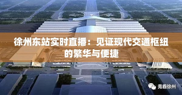 徐州东站实时直播：见证现代交通枢纽的繁华与便捷