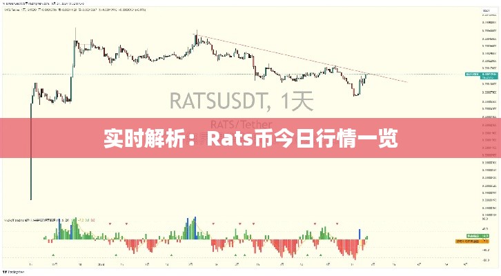 实时解析：Rats币今日行情一览