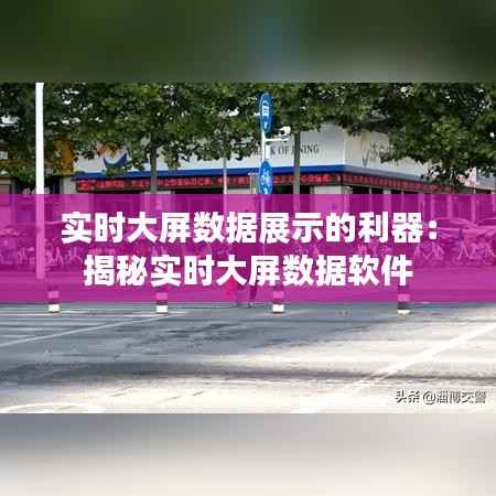 实时大屏数据展示的利器：揭秘实时大屏数据软件
