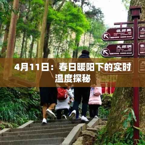 4月11日:春日暖阳下的实时温度探秘