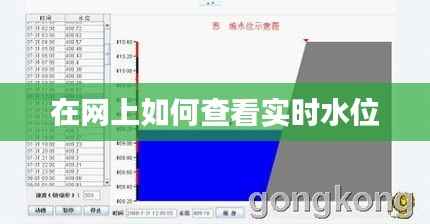 在网上如何查看实时水位