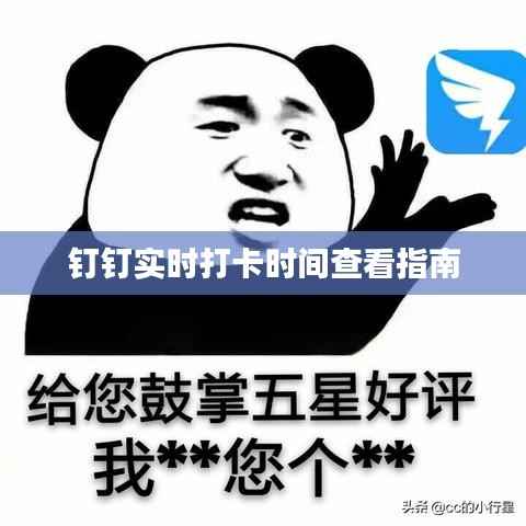 钉钉实时打卡时间查看指南