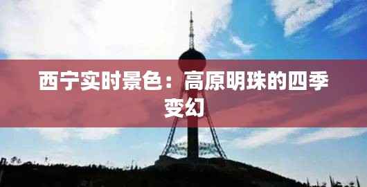 临危不惧 第6页