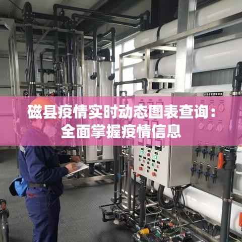 磁县疫情实时动态图表查询：全面掌握疫情信息