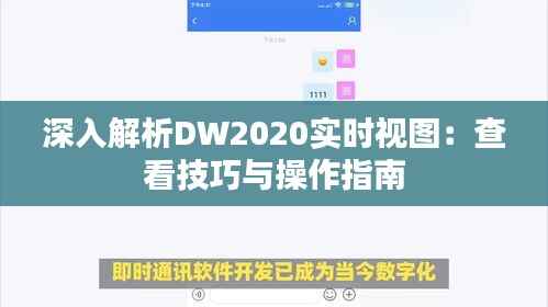 深入解析DW2020实时视图：查看技巧与操作指南
