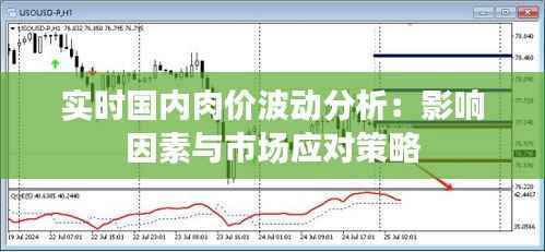 实时国内肉价波动分析:影响因素与市场应对策略