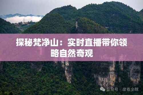 长颈鸟喙 第6页