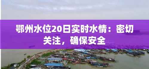 一毫不苟 第4页