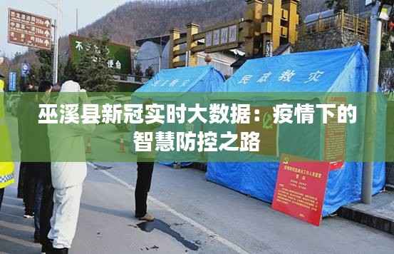 巫溪县新冠实时大数据：疫情下的智慧防控之路