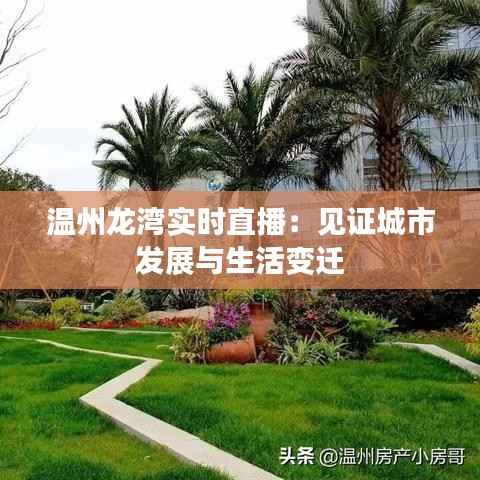 温州龙湾实时直播：见证城市发展与生活变迁