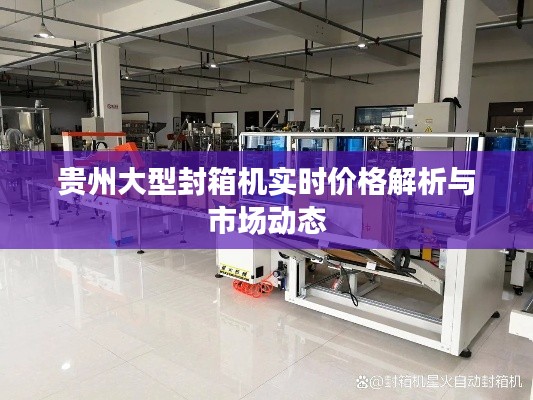 贵州大型封箱机实时价格解析与市场动态