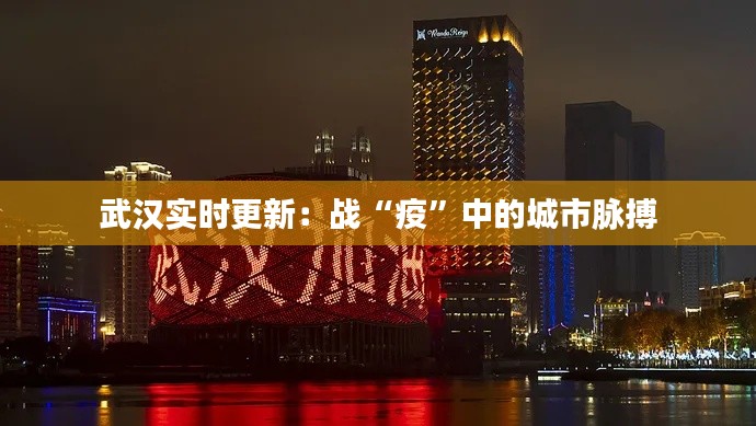 武汉实时更新：战“疫”中的城市脉搏