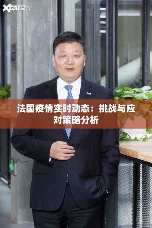 法国疫情实时动态：挑战与应对策略分析