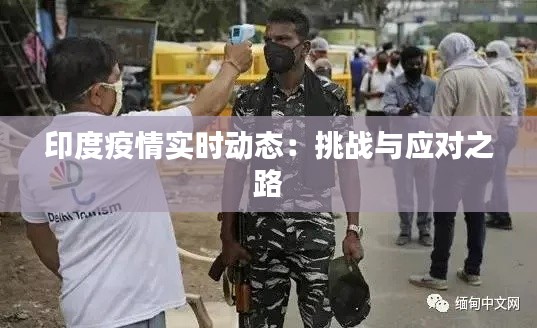 印度疫情实时动态：挑战与应对之路